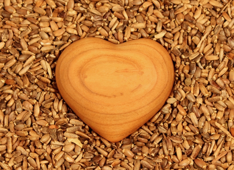 Μια ξύλινη καρδιά